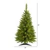 3ft Nearly Natural Pre-Lit Providence Pine Artificial Christmas Tree Warm White Lights 1 3ft Nearly Natural Pre-Lit Providence Pine Artificial Christmas Tree Warm White Lights -Outlet Xmas Decor Tree Store GUEST 00fbaac5 c594 4ba7 98c3 8d27f1ace2ef