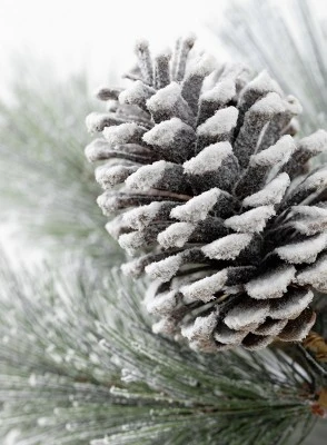 Sullivans Artificial Flocked Pine Stem 18"H Green 3 Sullivans Artificial Flocked Pine Stem 18"H Green