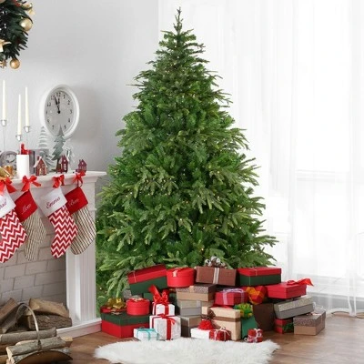 Northlight 6.5' Pre-Lit Roosevelt Fir Artificial Christmas Tree - Clear Lights 3 Northlight 6.5' Pre-Lit Roosevelt Fir Artificial Christmas Tree - Clear Lights