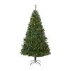 Nearly Natural 7.5' Northern Tip Pine Prelit LED Artificial Christmas Tree -Outlet Xmas Decor Tree Store GUEST 09746779 30cd 431c 9edd 6ad96c996c86