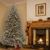 7.5ft Pre-lit Full Dunhill Blue Fir Hinged Artificial Christmas Tree Clear Lights - National Tree Company -Outlet Xmas Decor Tree Store GUEST 09c60062 de8e 4ae5 aa8f e7094048238f