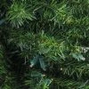 Northlight 3' Prelit Battery Operated Artificial Christmas Tree Canadian Pine - Clear Lights -Outlet Xmas Decor Tree Store GUEST 0a73d28d ea95 46aa 9ffa ee654846054c