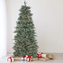 Northlight 10' Prelit Artificial Christmas Tree Slim Washington Frasier Fir - Clear Lights -Outlet Xmas Decor Tree Store GUEST 0b0ad644 60c0 44b5 9d28 9236aa7120c6