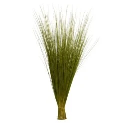 Vickerman Bright Grass, Dried -Outlet Xmas Decor Tree Store GUEST 0b873942 f171 49fc b548 b7e9a6975336