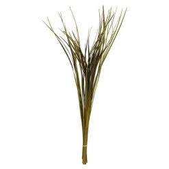 Vickerman 28" Splinter Grass, 11oz Dried -Outlet Xmas Decor Tree Store GUEST 0b887248 8ca3 4e4a a922 f0294338912e