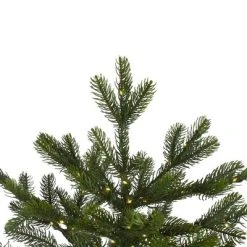 Northlight 7.5' Prelit Artificial Christmas Tree LED Oregon Noble Fir- Warm White Lights 11 Northlight 7.5' Prelit Artificial Christmas Tree LED Oregon Noble Fir- Warm White Lights -Outlet Xmas Decor Tree Store GUEST 0ca54847 b166 413e 8554 0605dab2812b 1