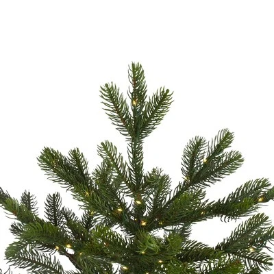 Northlight 9' Prelit Artificial Christmas Tree LED Oregon Noble Fir - Warm White Lights 5 Northlight 9' Prelit Artificial Christmas Tree LED Oregon Noble Fir - Warm White Lights - Image 3