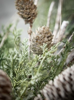 Sullivans Cedar & Pine Artificial Stem 3 Sullivans Cedar & Pine Artificial Stem