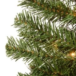 National Tree Company 4' Montclair Spruce Artificial Pencil Christmas Tree 50ct Clear 7 National Tree Company 4' Montclair Spruce Artificial Pencil Christmas Tree 50ct Clear -Outlet Xmas Decor Tree Store GUEST 105a4045 9169 4c03 8423 2e04aa076c2b