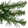 Northlight 50' x 10" Pre-Lit Northern Pine Commercial Christmas Garland - Warm White LED Lights 1 Northlight 50' x 10" Pre-Lit Northern Pine Commercial Christmas Garland - Warm White LED Lights -Outlet Xmas Decor Tree Store GUEST 1208d853 6e0f 47eb 8f88 48819b56fc11