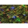 National Tree Company 10' Pre-Lit Dunhill Fir Full Artificial Christmas Tree with 1200 Dual Color LED Lights & Powerconnect -Outlet Xmas Decor Tree Store GUEST 14348f8d 031d 455f 899d 87c90da9196d