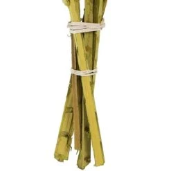 Vickerman Natural Stem, Dried 8 Vickerman Natural Stem, Dried -Outlet Xmas Decor Tree Store GUEST 152ff623 010b 4429 934b 5953cb24f787