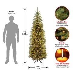 National Tree Company 7 ft Artificial Pre-Lit Slim Christmas Tree, Green, Kingswood Fir, White Lights, Includes Stand -Outlet Xmas Decor Tree Store GUEST 15d7ac77 5d6e 4105 bb32 d936dfe055a7
