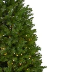 Northlight 14' Pre-Lit Northern Pine Full Artificial Christmas Tree - Warm White LED Lights -Outlet Xmas Decor Tree Store GUEST 16de2f66 f870 49fd a061 d1c48f0f888f