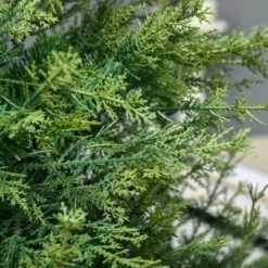 HOMCOM 6ft Artificial Christmas Tree Holiday Decoration with Auto Open, Steel Base, Wide Shape, Green -Outlet Xmas Decor Tree Store GUEST 18452cd8 4543 499d 85d4 17c843f2ec1b