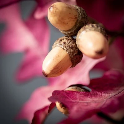 29.5"H Sullivans Fall Purple Oak Leaf Stem; Purple 3 29.5"H Sullivans Fall Purple Oak Leaf Stem; Purple