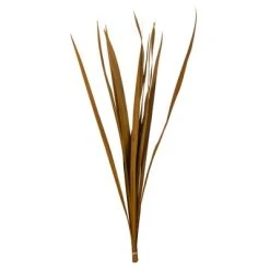 Vickerman 18-30" Snake Grass, Dried - 36 Stems -Outlet Xmas Decor Tree Store GUEST 1aa8ca72 846d 49cf b3a1 9af3e8200816