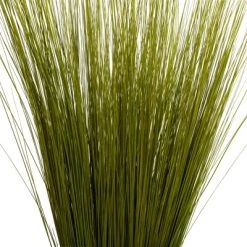 Vickerman Bright Grass, Dried -Outlet Xmas Decor Tree Store GUEST 1b84a777 e93d 4e56 a776 32abfd8e3877