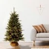 National Tree Company 4' Burlap Artificial Christmas Tree with 150 Clear Lights -Outlet Xmas Decor Tree Store GUEST 1c9ad61c 2cc7 4553 9b0c 032a5065b0db