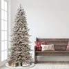 7.5ft Puleo Pre-Lit Flocked Slim Royal Majestic Douglas Spruce Artificial Christmas Tree Clear Lights -Outlet Xmas Decor Tree Store GUEST 1d220920 2721 4bf0 aee6 052efff9a4e2