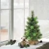 2ft Puleo Pre-Lit Tabletop Artificial Christmas Tree Burlap Sack Clear Lights 2 2ft Puleo Pre-Lit Tabletop Artificial Christmas Tree Burlap Sack Clear Lights -Outlet Xmas Decor Tree Store GUEST 1fa8e604 2b99 4848 91bc e26f8e40d7f2