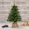 Northlight 18" Potted Downswept Mini Village Pine Medium Artificial Christmas Tree, Unlit -Outlet Xmas Decor Tree Store GUEST 25e771b0 5b3d 4a24 9081 20c3d01c4d96