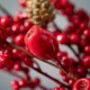 4'L Sullivans Red Berry Pod Garland; Red Christmas Garland -Outlet Xmas Decor Tree Store GUEST 26c5cf13 a8a1 4345 88c5 60914ef4cf92