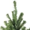 Northlight 5' Canadian Pine Medium Artificial Christmas Tree, Unlit