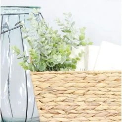 Auldhome Design-Artificial Eucalyptus Picks 6pk -Outlet Xmas Decor Tree Store GUEST 2ca64376 e0f6 43a2 a6e4 e787b9f73ca8