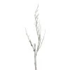 Northlight 46.5" White and Brown Birch Artificial Christmas Branch Twig