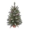 Transpac Artificial 24 in. Multicolor Christmas Lightly Frosted Fir Tree in Bag -Outlet Xmas Decor Tree Store GUEST 2e73bb3a 2311 469c 91c5 aa8320874ef0