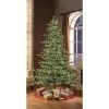 Puleo 6.5ft Pre-lit Artificial Christmas Tree Alaskan Fir 2 Puleo 6.5ft Pre-lit Artificial Christmas Tree Alaskan Fir -Outlet Xmas Decor Tree Store GUEST 2fb8b0f6 7caf 4206 add7 6e6be54566ba