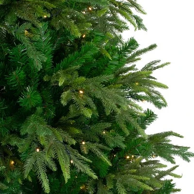 Northlight 6.5' Pre-Lit Roosevelt Fir Artificial Christmas Tree - Clear Lights 5 Northlight 6.5' Pre-Lit Roosevelt Fir Artificial Christmas Tree - Clear Lights - Image 3