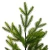 Northlight 2' Potted Pine Medium Artificial Christmas Tree – Unlit -Outlet Xmas Decor Tree Store GUEST 3327907e c8b6 4235 8660 f5276f8b1f3b