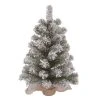 Transpac Artificial 24 in. Multicolor Christmas Snow Colorado Tree with Bagged Stand