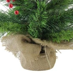 Northlight 24" Mixed Cashmere Berry Pine Medium Artificial Christmas Tree - Unlit -Outlet Xmas Decor Tree Store GUEST 349c1c2e 2afd 4eb4 9d4d e6a1e08bd0f6