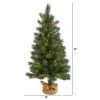 3ft Nearly Natural Pre-Lit LED Fraser Fir with Pinecones Artificial Christmas Tree Clear Lights in Burlap Base 1 3ft Nearly Natural Pre-Lit LED Fraser Fir with Pinecones Artificial Christmas Tree Clear Lights in Burlap Base -Outlet Xmas Decor Tree Store GUEST 3568a8e3 0635 4492 aebb 23de1b89d3e1