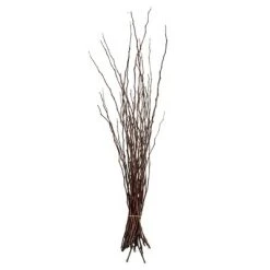 Vickerman 34-40" Moneta Branches, Dried 8oz -Outlet Xmas Decor Tree Store GUEST 371fd893 fc08 48a3 9505 6160a5858fb7