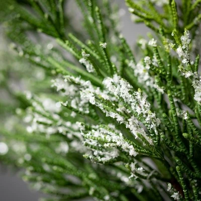 6'L Sullivans Frosted Green Cedar Garland, Green Christmas Garland 3 6'L Sullivans Frosted Green Cedar Garland, Green Christmas Garland