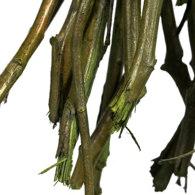 Vickerman 34-40" Moneta Branches, Dried 16oz 5 Vickerman 34-40" Moneta Branches, Dried 16oz - Image 3