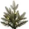 Vickerman Frosted Balsam Fir Artificial Christmas Tree -Outlet Xmas Decor Tree Store GUEST 3af9c902 e89c 4c65 b2c6 973a42b7054f
