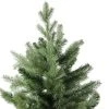 Northlight Real Touch™️ Mixed Eden Pine Artificial Christmas Tree - Unlit - 6'