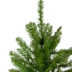 Northlight 7.5' Northern Pine Full Artificial Christmas Tree - Unlit 8 Northlight 7.5' Northern Pine Full Artificial Christmas Tree - Unlit -Outlet Xmas Decor Tree Store GUEST 3bb430cf a518 4080 a040 9d384ecad3c4