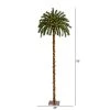 6ft Nearly Natural Pre-Lit LED Palm Artificial Christmas Tree Warm White Lights 2 6ft Nearly Natural Pre-Lit LED Palm Artificial Christmas Tree Warm White Lights -Outlet Xmas Decor Tree Store GUEST 3bb6feb0 f123 4deb 85db 26c6bc48db99