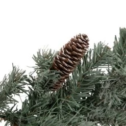 Northlight 6' x 12" Pre-Lit Decorated Pine Artificial Christmas Garland, Warm White LED Lights -Outlet Xmas Decor Tree Store GUEST 3ce8512e 1e8c 4169 b477 fd0bc6d488e9