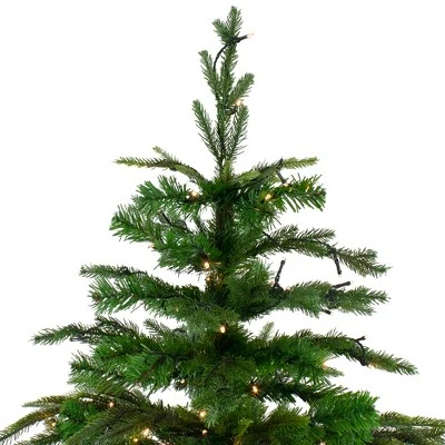 Northlight 6.5' Pre-Lit Roosevelt Fir Artificial Christmas Tree - Clear Lights 6 Northlight 6.5' Pre-Lit Roosevelt Fir Artificial Christmas Tree - Clear Lights - Image 4