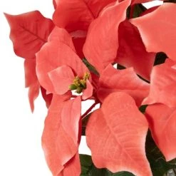 Northlight 20" Dark Pink Artificial Christmas Poinsettia with Gold Wrapped Base -Outlet Xmas Decor Tree Store GUEST 3dd13947 e3e8 49eb 88ec ded39ff962b5