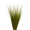 Vickerman Bright Grass, Dried