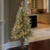 National Tree Company 5ft National Christmas Tree Company Glitter Bristle Artificial Pencil Christmas Tree 150ct Clear