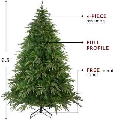 Northlight 6.5' Pre-Lit Roosevelt Fir Artificial Christmas Tree - Clear Lights 7 Northlight 6.5' Pre-Lit Roosevelt Fir Artificial Christmas Tree - Clear Lights - Image 5